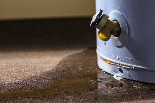 Trusted Lexington Hills, CA Water damage restoration Experts