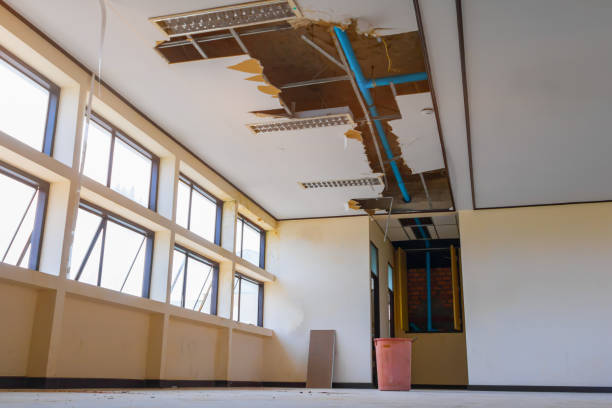 Best 24/7 water damage repair  in Lexington Hills, CA