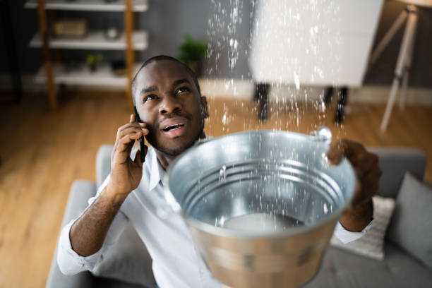 Best Water damage contractors near me  in Lexington Hills, CA