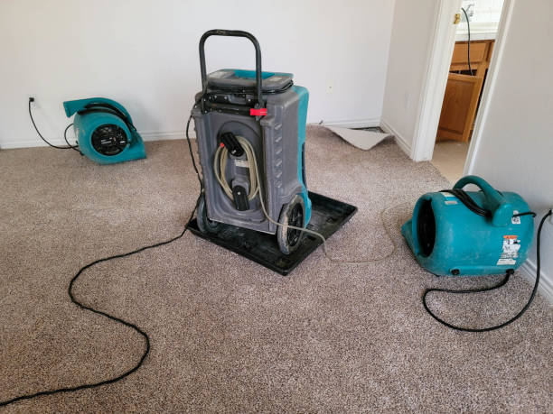 Best Water damage restoration near me  in Lexington Hills, CA
