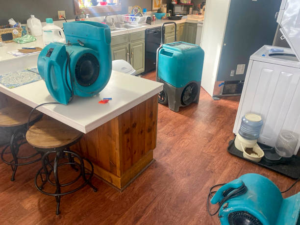Best Local water damage restoration  in Lexington Hills, CA