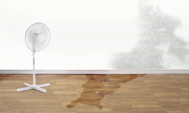 Water damage restoration experts in Lexington Hills, CA