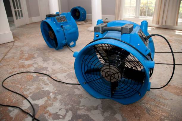 Best Ceiling water damage repair  in Lexington Hills, CA