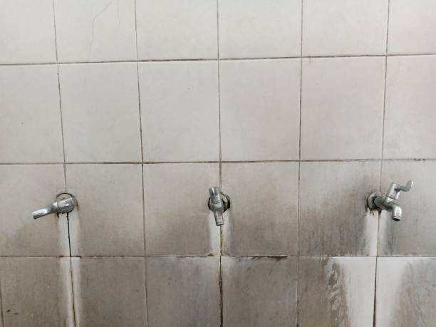 Best Carpet water damage restoration  in Lexington Hills, CA
