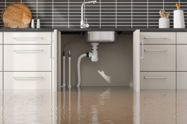Best Sewage cleanup and water damage restoration  in Lexington Hills, CA