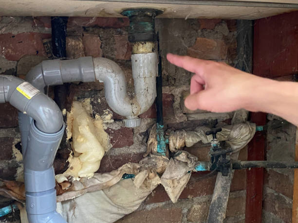Best Water damage restoration cost  in Lexington Hills, CA