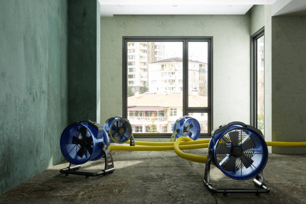 Best Water damage restoration specialists  in Lexington Hills, CA