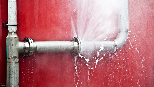 Best Water damage restoration process  in Lexington Hills, CA