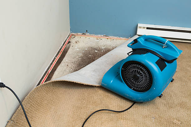 Trusted Lexington Hills, CA Water damage restoration Experts
